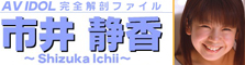 ＡＶアイドル解剖ファイル 市井静香